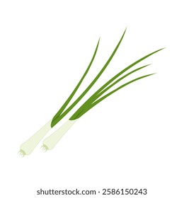 Green spring onion. Vector illustration cartoon vegetable icon isolated on white background.
