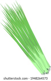Green spring onions bucket isolated on white background. Illustration of green onion. Icon in cartoon flat style.