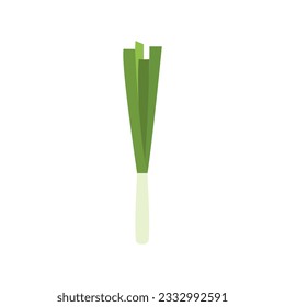 Green spring onions flat design vector illustration. Green onions, Allium. Salad onions, wild cherries, shallots, leeks, skoroda and Chinese onions. A herbaceous plant from the Onion family.