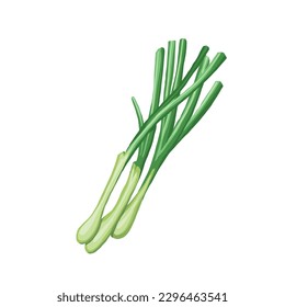Cebollas verdes de primavera aisladas en fondo blanco. Vector Chopped trozos. Ilustración de cebolla verde recién cortada. Icono de dibujo plano.