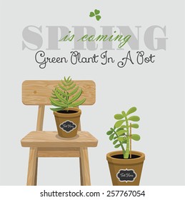 green spring plants in a pot 2