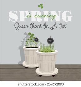 green spring plants in a pot