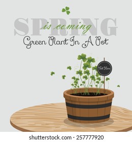 green spring plants in a pot 3