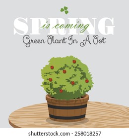 green spring plants in a pot 5