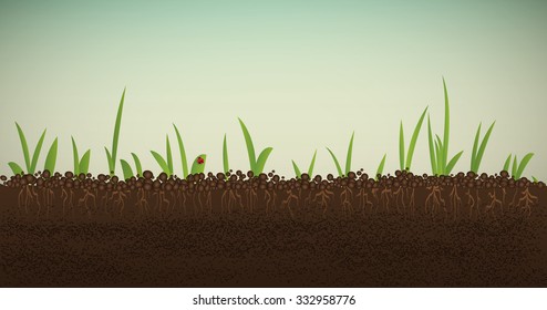 green spring sprout with roots and red ladybug in the soil, spring come soon vector