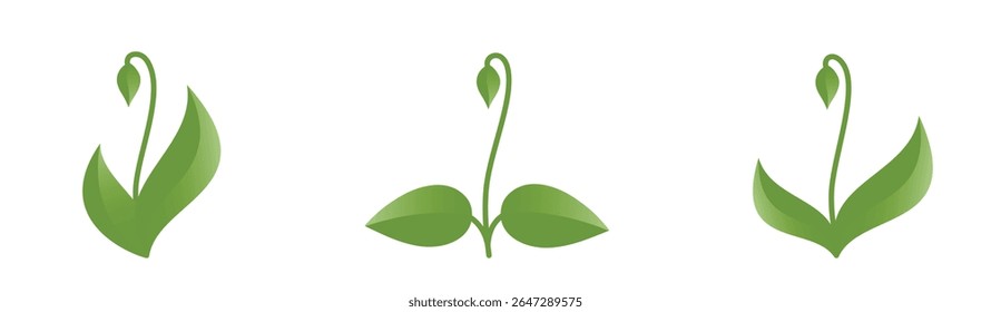 Rebentos de primavera verde com broto. Elementos de design floral, de mola e natural. Imagens vetoriais isoladas
