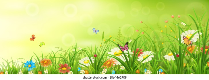 Green spring or summer meadow with grass, flowers and butterflies