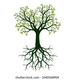 Green Spring Tree with Leaves and Roots. Vector Illustration.