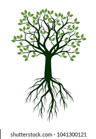 Green Spring Tree with Leaves and Roots . Vector Illustration.