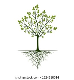 Green spring Tree with leaves and Roots. Vector Illustration. Outline graphic.