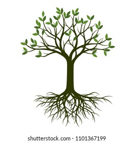 Green Spring Tree with Root. Vector Illustration. Plant in garden.