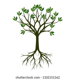 Green Spring Tree with Root. Vector Illustration. Plant in garden.