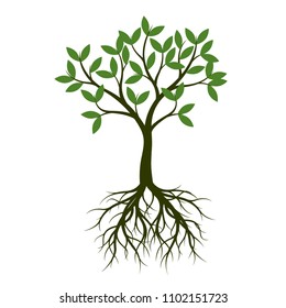 Green Spring Tree with Root. Vector Illustration. Plant in garden.