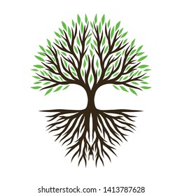 Green Spring Tree with Root. Vector Illustration. Plant in garden