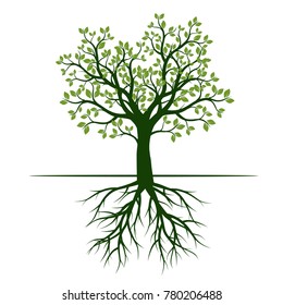 Green Spring Tree with Roots. Vector Illustration.