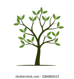 Green Spring Tree. Vector Illustration. Plants in garden.