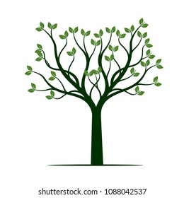 Green Spring Tree. Vector Illustration. Plant in garden.