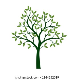 Green Spring Tree. Vector Illustration. Plant in garden.