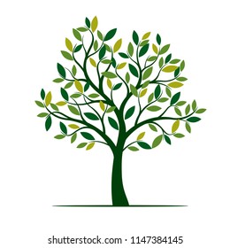 Green Spring Tree. Vector Illustration. Plant in garden.