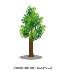 Green Spring Tree. Vector illustration