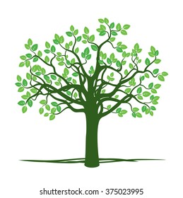 Green Spring Tree. Vector Illustration.
