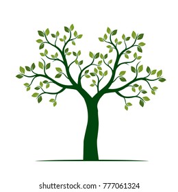 Green Spring Tree Vector Illustration Stock Vector (Royalty Free ...