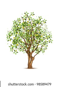 Green spring tree, vector illustration, eps10, three layers, easy editable