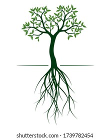 Green Spring Tree. Vector outline Illustration. Plant in garden.