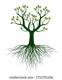 Green Spring Tree. Vector outline Illustration. Plant in garden.