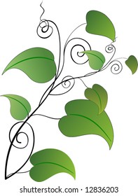 green spring twig - vector