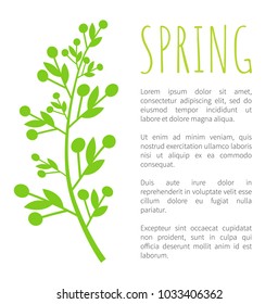 Green spring and weed grass on poster with sample text. Thin tiny branch with small leaves and closed buds. Fresh spring isolated vector illustration.