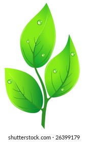 Green sprout.