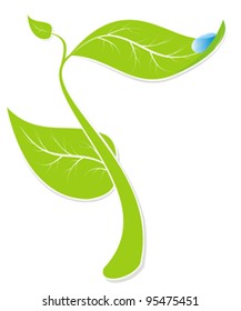 green sprout and blue drop water