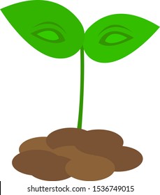 green sprout in brown soil object on a white background leaves with eye patterns agricultural concept and productivity