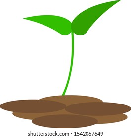 green sprout in brown soil on a white background concept of nature and agriculture