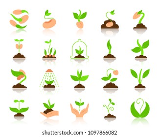 Green sprout flat icons set. Web vector sign kit of seeds. Plant pictogram collection includes seedling, hand, sapling. Simple sprout colorful icon symbol with reflection isolated on white