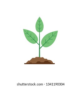 Green sprout in the ground on a white background. Flat style icon. Vector illustration.