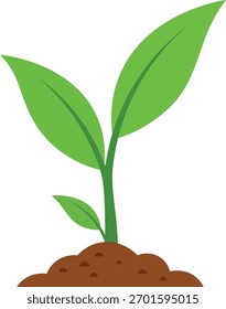 Brote verde que crece del suelo marrón con el crecimiento de la planta del fondo blanco