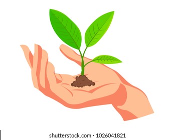 Green sprout, growing out of a handful of ground.