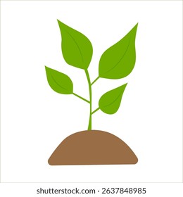 green sprout grown from earth soil. on white background