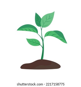 Green sprout grows from the ground. It symbolizes life and ecology. Vector illustration on white background