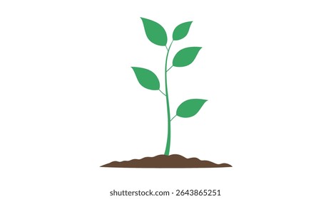 Green sprout grows upwards on soil against a plain studio backdrop showing growth