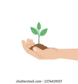 Green sprout in human hand on white background. Vector illustration in flat style. The concept of environmental protection and agriculture.