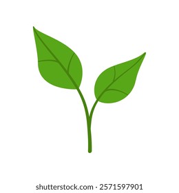 A green sprout. The sprout icon. Color vector illustration of a sprouted plant or tree. A symbol of life. Vector silhouette of seedlings. For the plant store, ecology, gardening. The germinated seed.