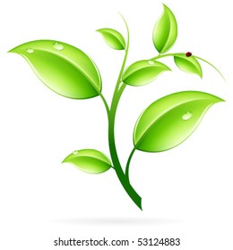 新緑 葉 のイラスト素材 画像 ベクター画像 Shutterstock