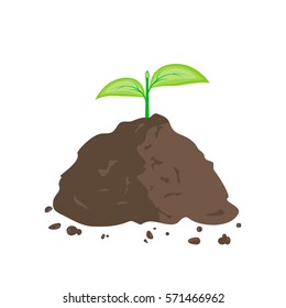 Green sprout in pile of ground. Planting sapling. Vector illustration flat design.