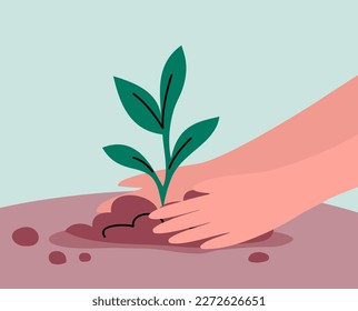 Green sprout of a plant. Human hands. Young seedling in the ground. Ecology symbol. Springtime. Gardening outdoors. Caring for nature and ecology. Flat vector illustration