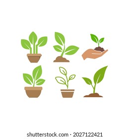 Green sprout plant icon set design illustration template
