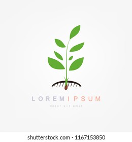 Green Sprout, Plant Vector Illustration