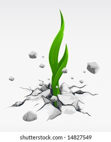 green sprout, pushing out from stones vector illustration